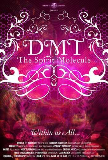 مشاهدة فيلم DMT The Spirit Molecule 2010 مترجم
