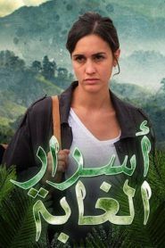 اسرار الغابة