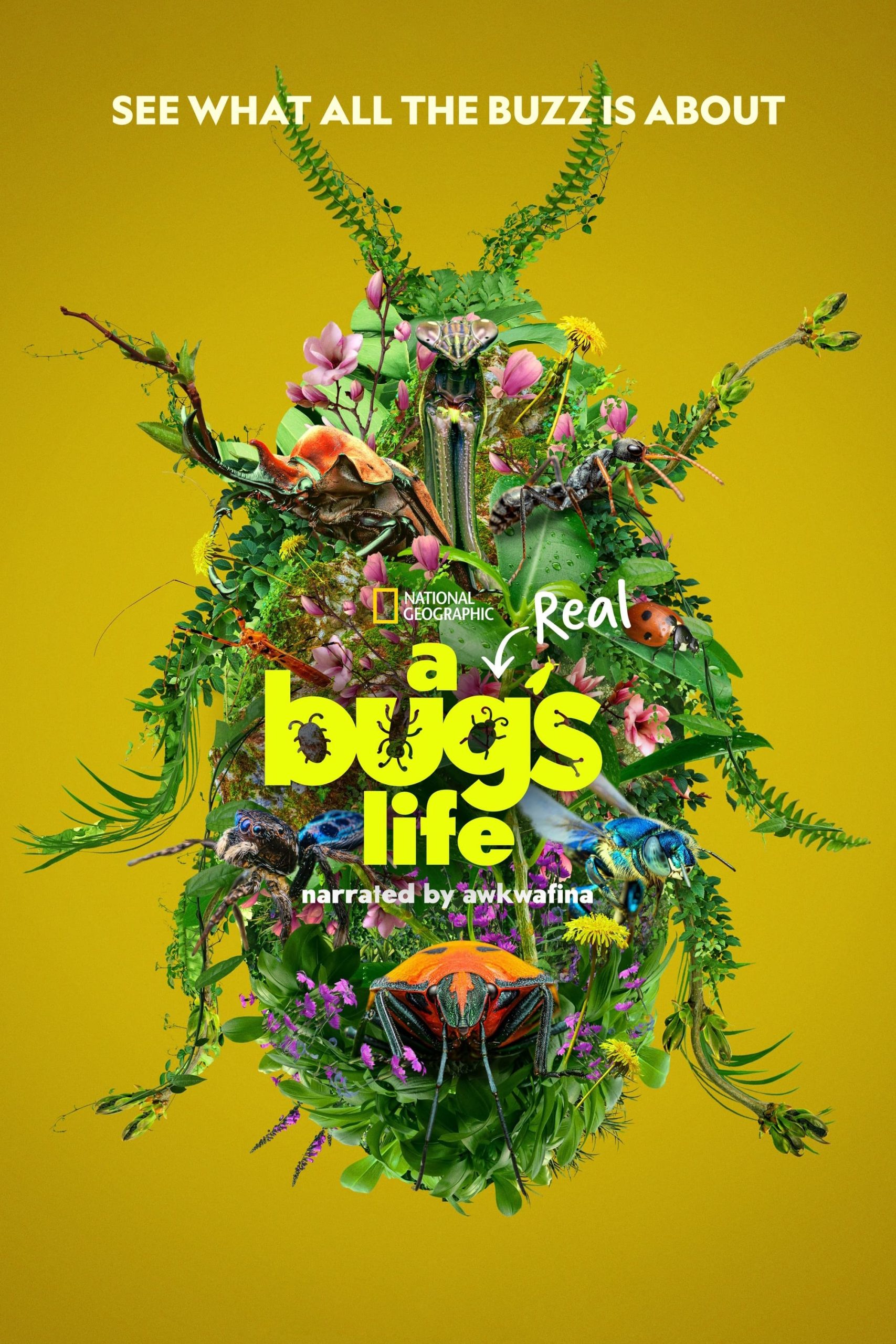 A Real Bug's Life